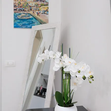 Vilma * Zadar